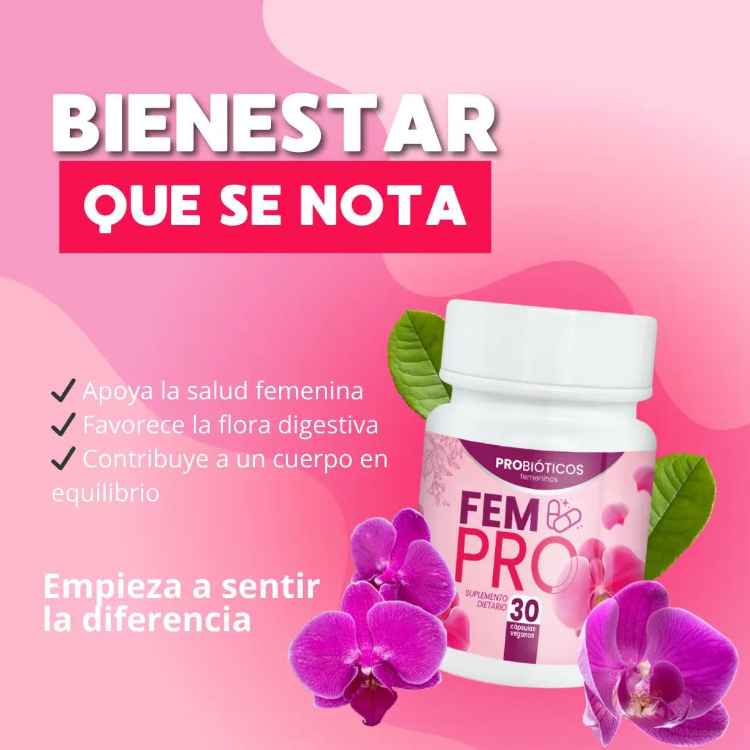 FEM-PRO